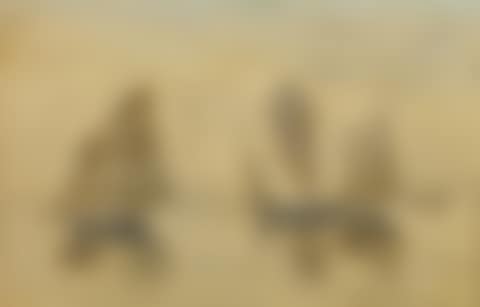 Boats (preview)