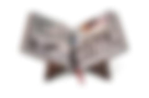 Collector de Beard Edition (preview)