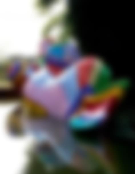 The mermaid (preview)