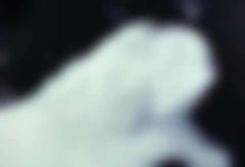 Frozen Sperm II (preview)