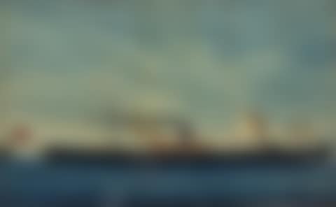 Ship's portrait (preview)