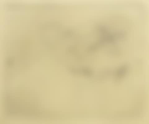 "Duck, Swan, and Head in Profile" (preview)