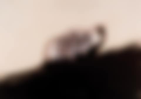 The Dog (preview)
