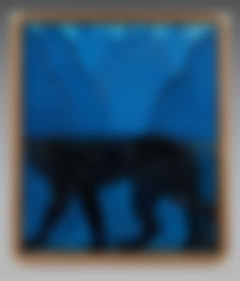 The Black Panther (preview)