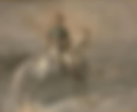 Napoleon III on horseback (preview)
