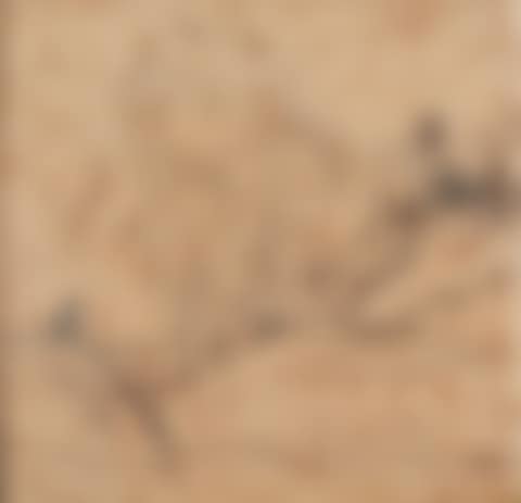 Character in a landscape (preview)