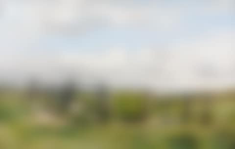 Young tedders in a landscape with barrier (preview)