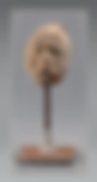 Bread head (preview)