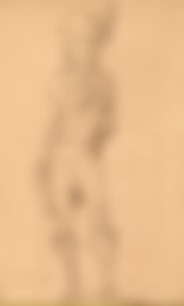 Portrait of an elegant (preview)