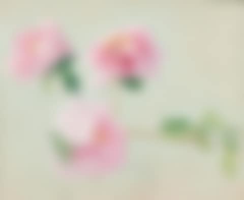 Study of roses (preview)