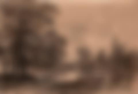 Cows at the pond (preview)