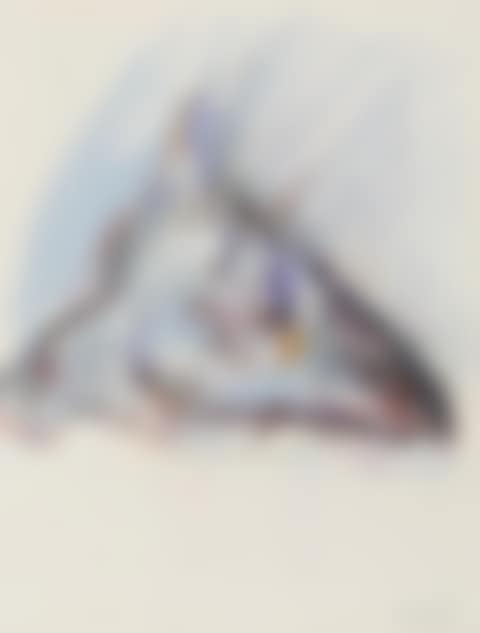 Study of a horse head (preview)