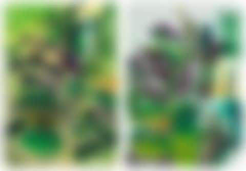 (i) Kew Study I (ii) Kew Study II (preview)