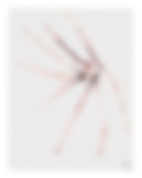 Spider (preview)