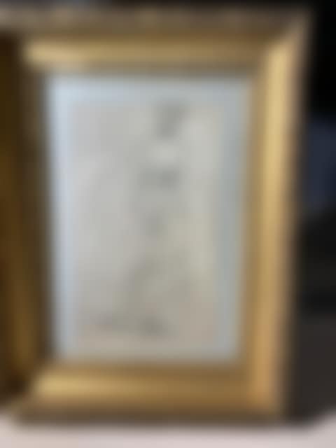 Edwardian Lady (preview)