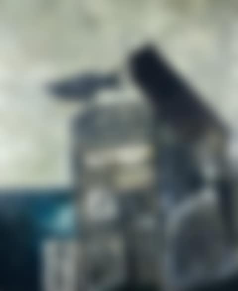 Raven Rock (preview)