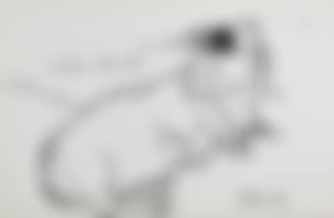 Little Boodge (preview)