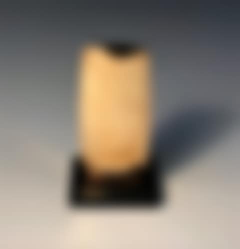 "VEOR" (preview)