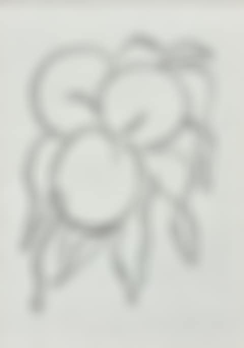Fruit (preview)