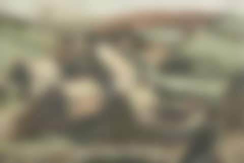 Hillside buildings (preview)
