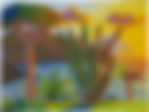 Punta del Hidalgo (preview)