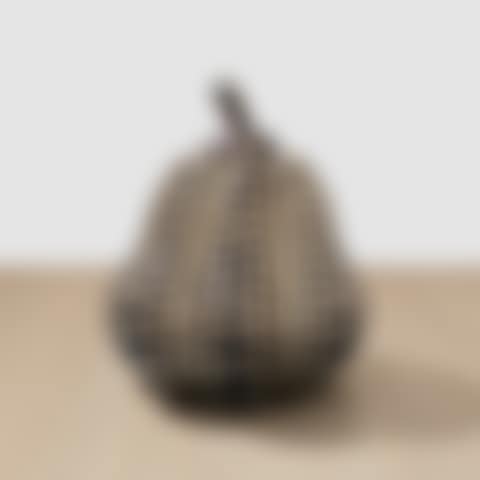 Pumpkin (M) (preview)