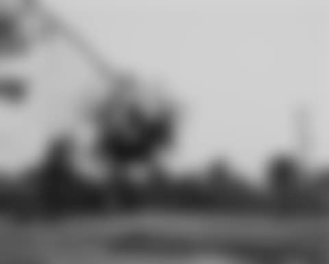 ‘Redlands, California" (preview)