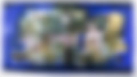 "Untitled" (preview)