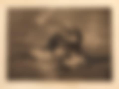 "What is a cup for?" (preview)