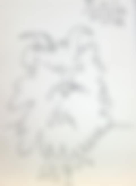 "Monster" (preview)