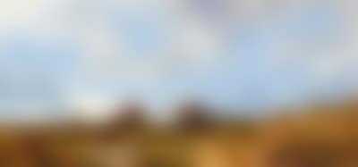 Open Landscape (preview)