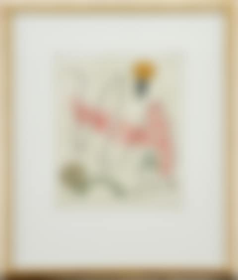 "Oiseaux en Peril" (preview)