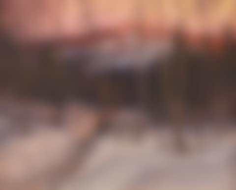 Winter landscape at dusk (preview)