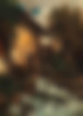 Mill in the Wood (preview)