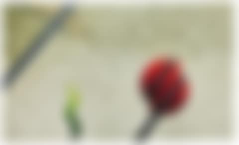 "The lonely cypress" (preview)