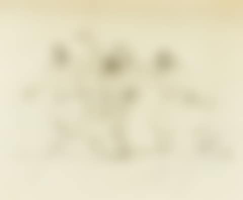 Collection of hand drawings (preview)