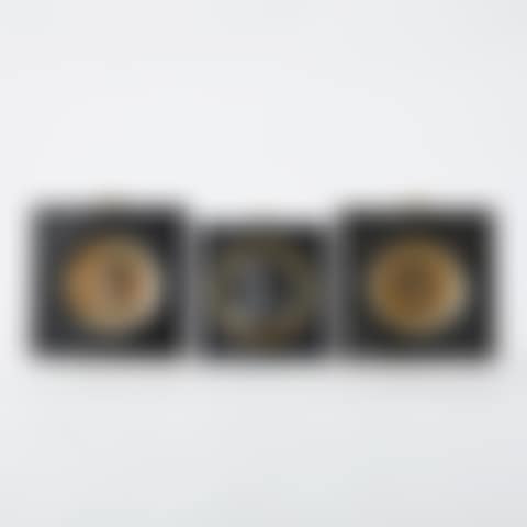 Portrait medallions (preview)