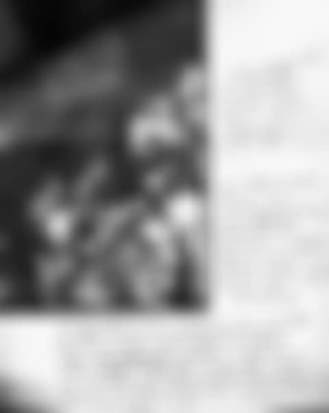 “Poster” Trieste (preview)