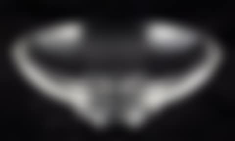 Steuben bowl (preview)