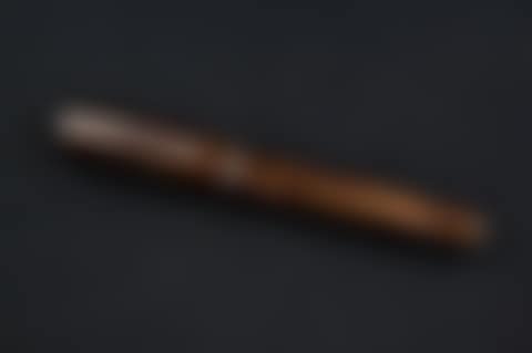 Fountain pen (preview)