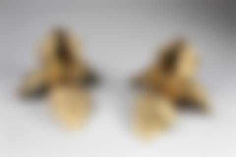 Iris (preview)