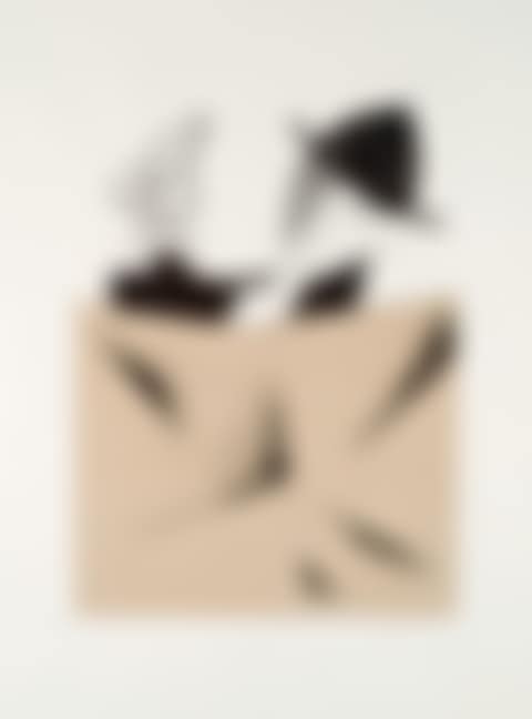Untitled (preview)