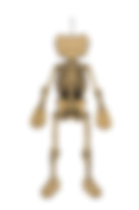 Companion skeleton (preview)