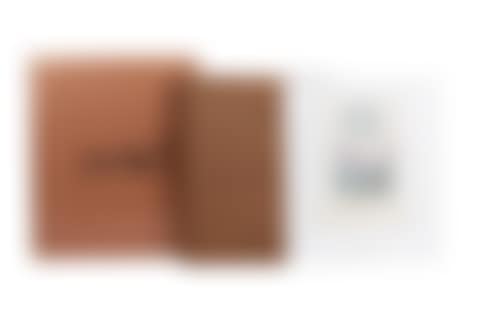 essays (preview)