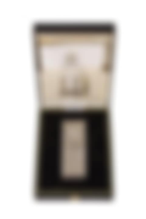 silver plated lighter (preview)