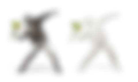 a. Flower Bomber (White) b. Flower Bomber (Black) (preview)