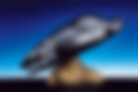 Pure Land (preview)