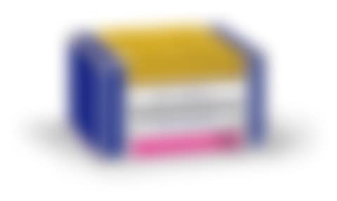 Catalogue Raisonné (preview)