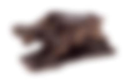 Wood Buffalo (preview)