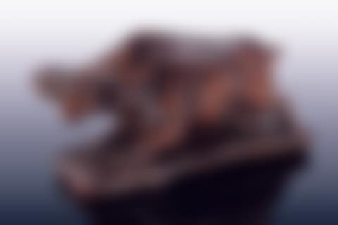 Wood Buffalo (preview)
